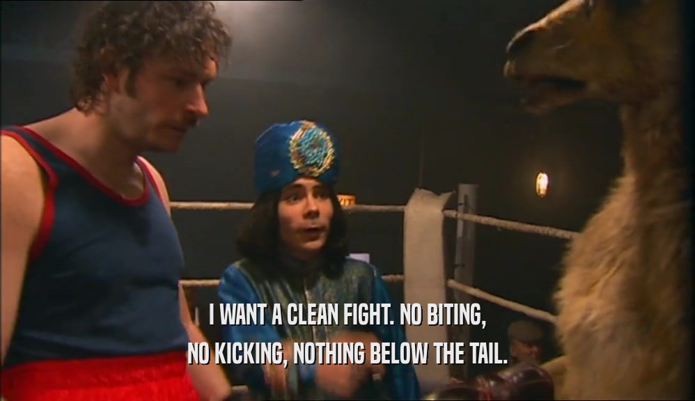 I WANT A CLEAN FIGHT. NO BITING, NO KICKING, NOTHING BELOW THE TAIL. 