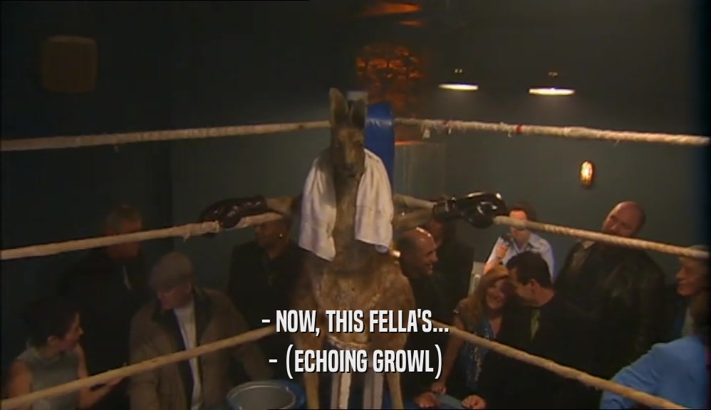 - NOW, THIS FELLA'S... - (ECHOING GROWL) 