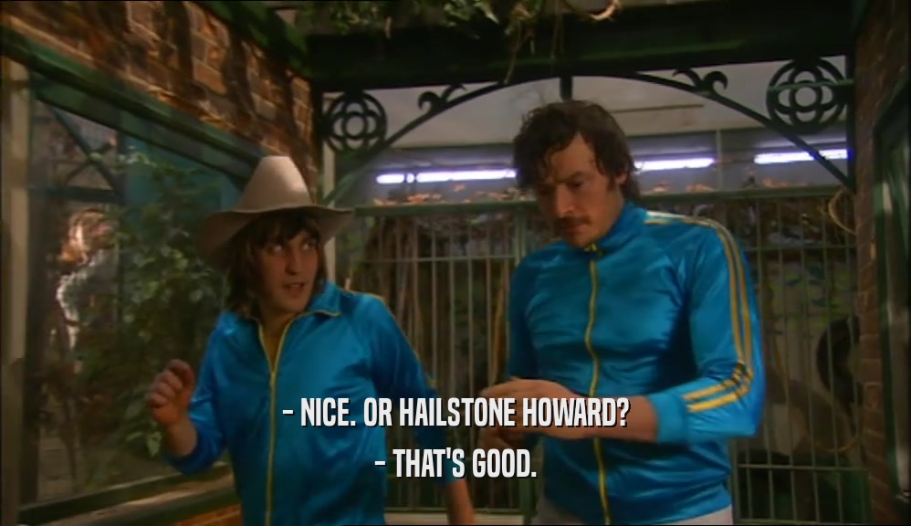 - NICE. OR HAILSTONE HOWARD?
 - THAT'S GOOD.
 
