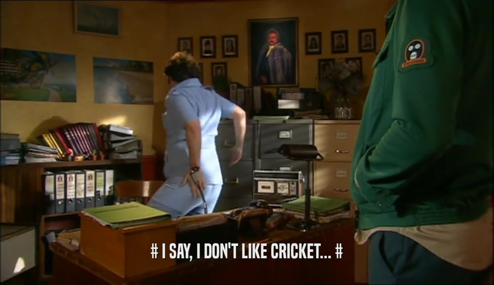 # I SAY, I DON'T LIKE CRICKET... #  