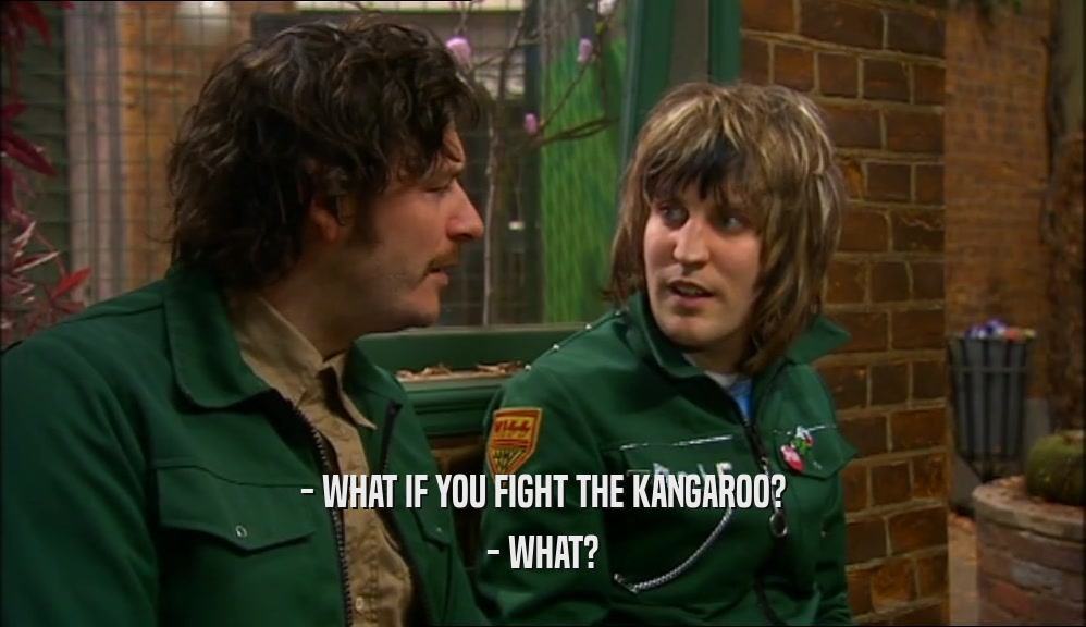 - WHAT IF YOU FIGHT THE KANGAROO? - WHAT? 
