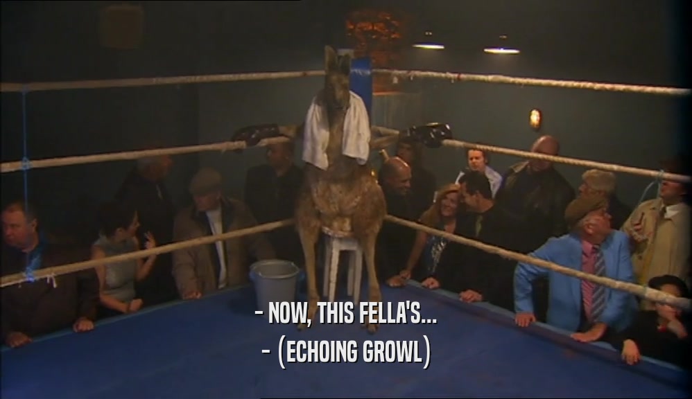 - NOW, THIS FELLA'S... - (ECHOING GROWL) 