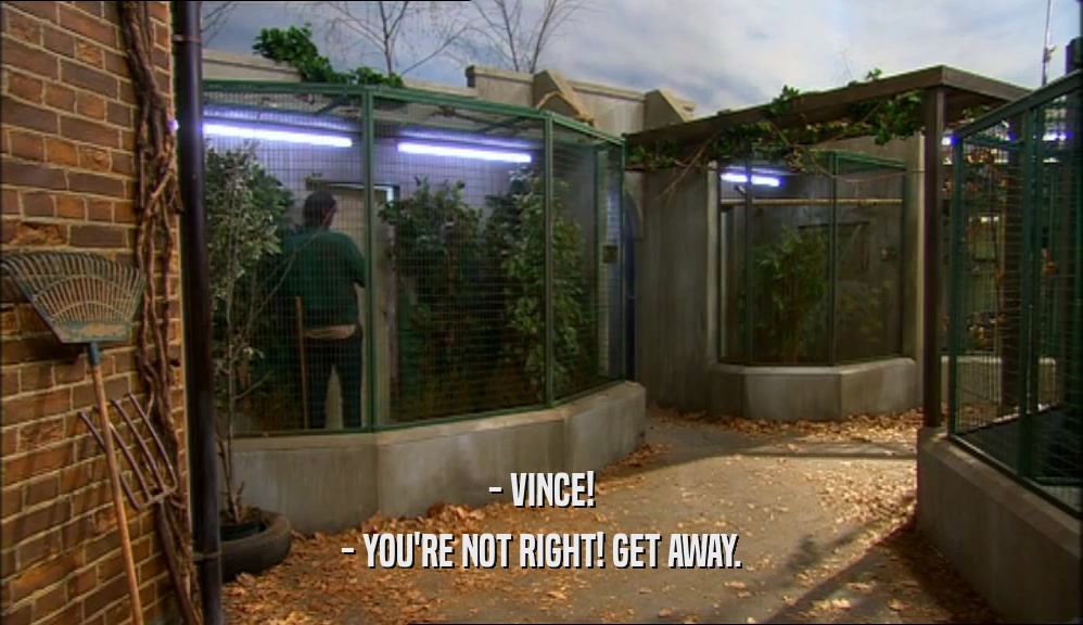 - VINCE! - YOU'RE NOT RIGHT! GET AWAY. 