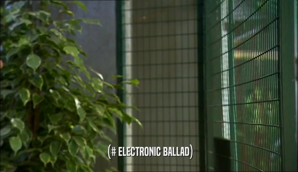 (# ELECTRONIC BALLAD)  