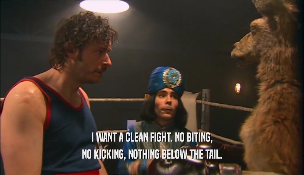 I WANT A CLEAN FIGHT. NO BITING, NO KICKING, NOTHING BELOW THE TAIL. 