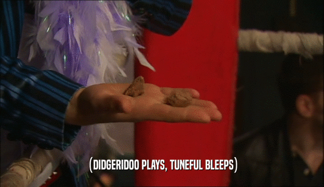 (DIDGERIDOO PLAYS, TUNEFUL BLEEPS)  