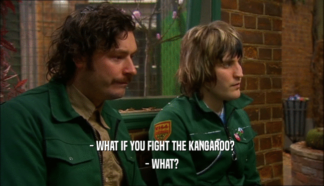 - WHAT IF YOU FIGHT THE KANGAROO? - WHAT? 