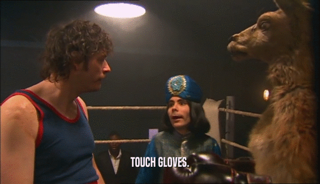 TOUCH GLOVES.  