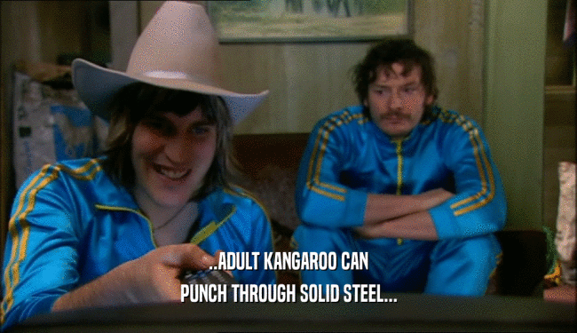 ..ADULT KANGAROO CAN PUNCH THROUGH SOLID STEEL... 