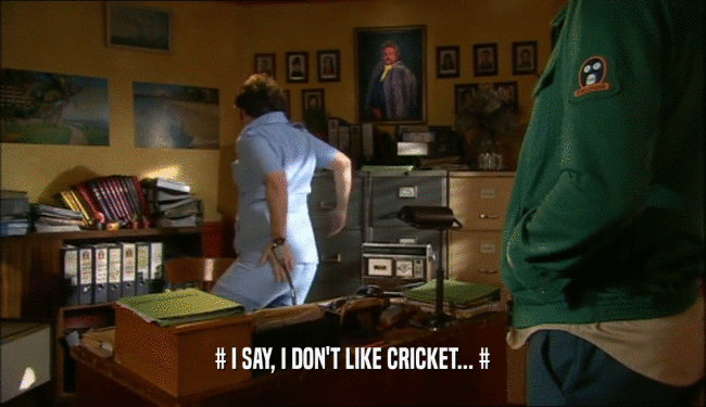 # I SAY, I DON'T LIKE CRICKET... #  
