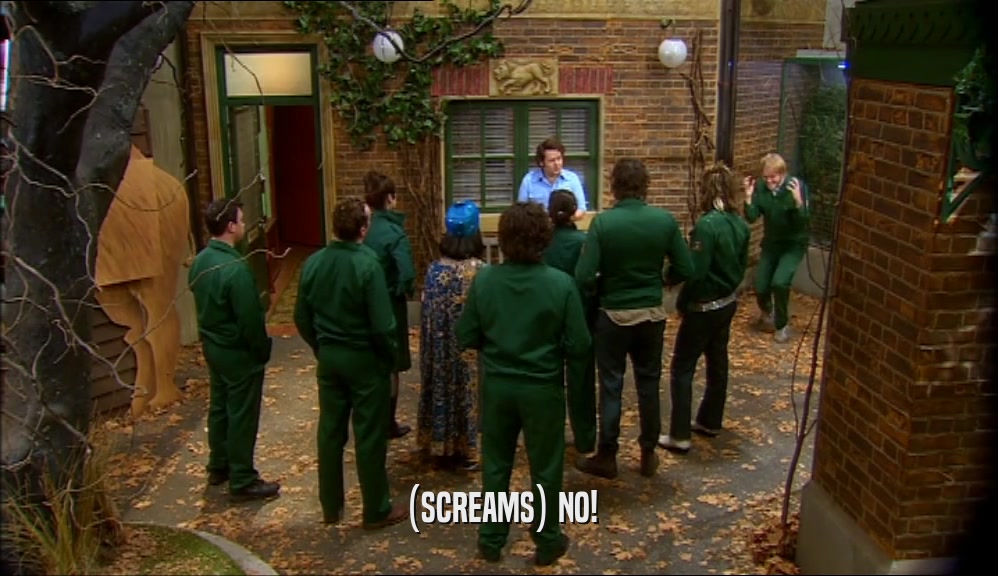 (SCREAMS) NO!  