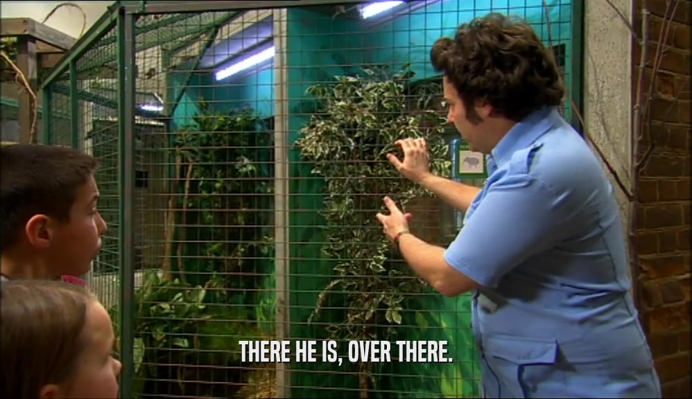 THERE HE IS, OVER THERE.  