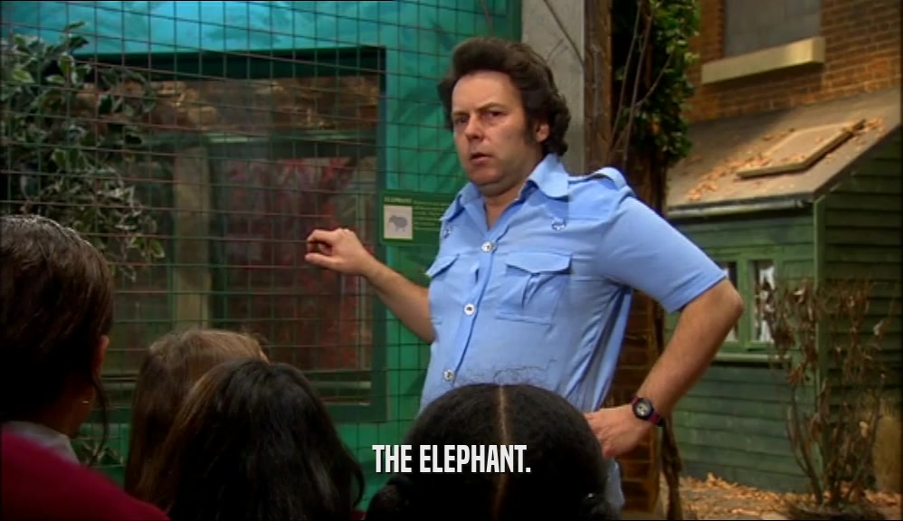 THE ELEPHANT.
  