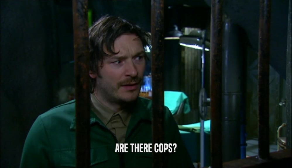 ARE THERE COPS?  