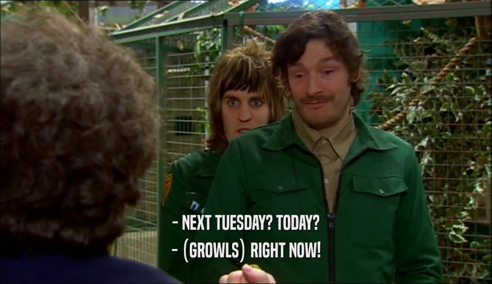 - NEXT TUESDAY? TODAY? - (GROWLS) RIGHT NOW! 