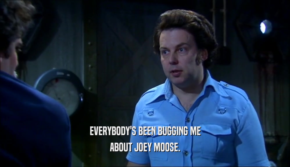 EVERYBODY'S BEEN BUGGING ME ABOUT JOEY MOOSE. 