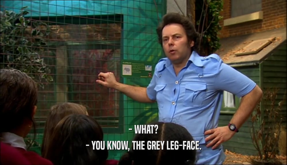 - WHAT? - YOU KNOW, THE GREY LEG-FACE. 