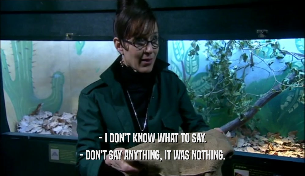 - I DON'T KNOW WHAT TO SAY. - DON'T SAY ANYTHING, IT WAS NOTHING. 