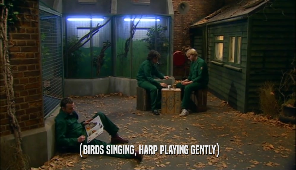 (BIRDS SINGING, HARP PLAYING GENTLY)  