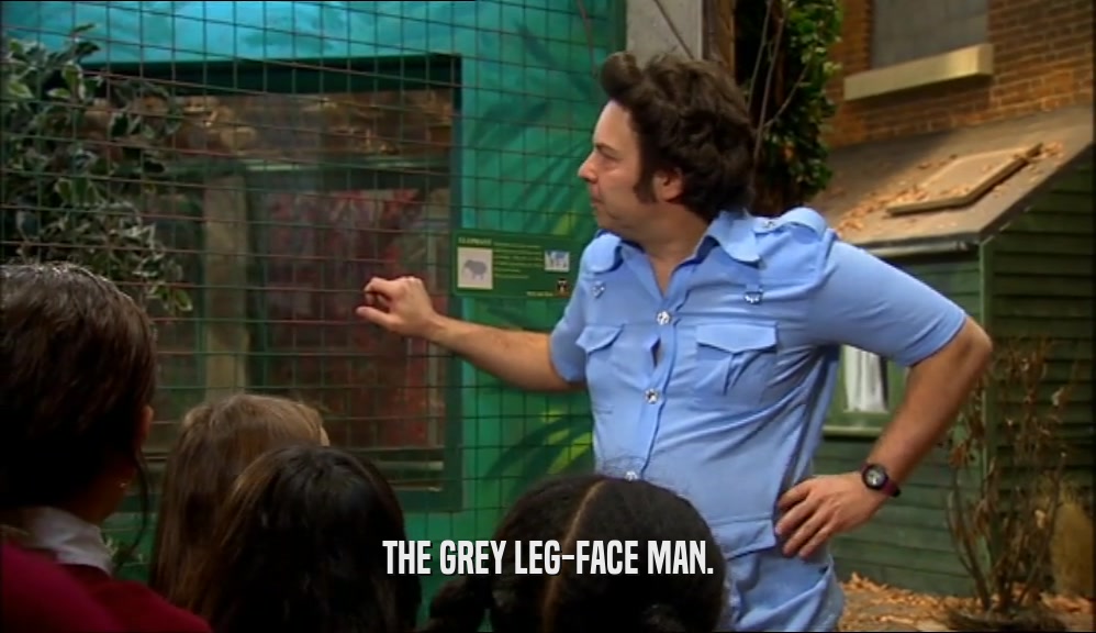 THE GREY LEG-FACE MAN.  