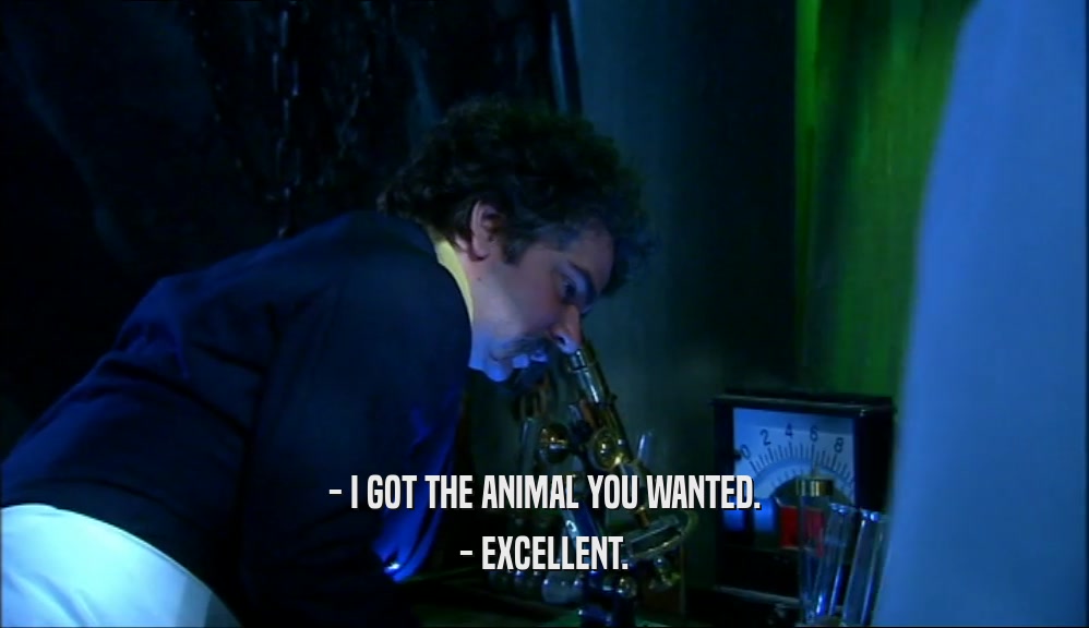 - I GOT THE ANIMAL YOU WANTED. - EXCELLENT. 