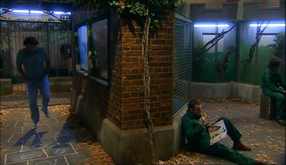 ..SITTING IN A TREE K-L-S-S-L-N-G... 