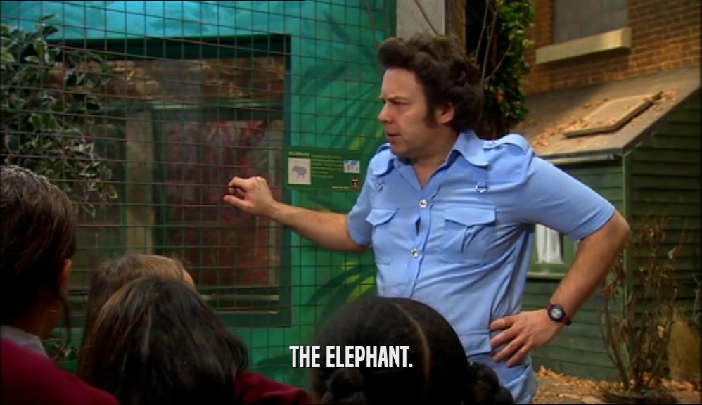 THE ELEPHANT.  