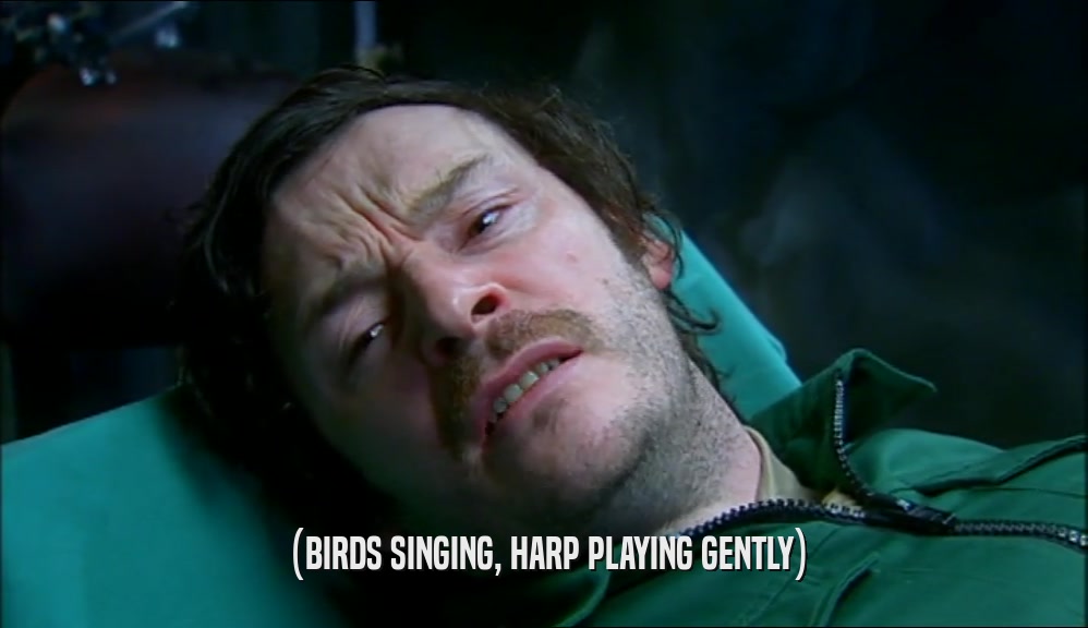 (BIRDS SINGING, HARP PLAYING GENTLY)  