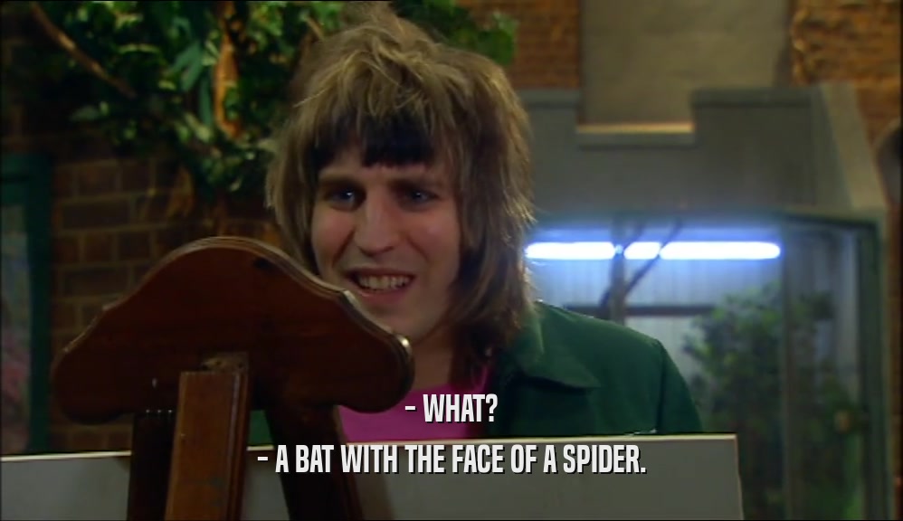 - WHAT? - A BAT WITH THE FACE OF A SPIDER. 