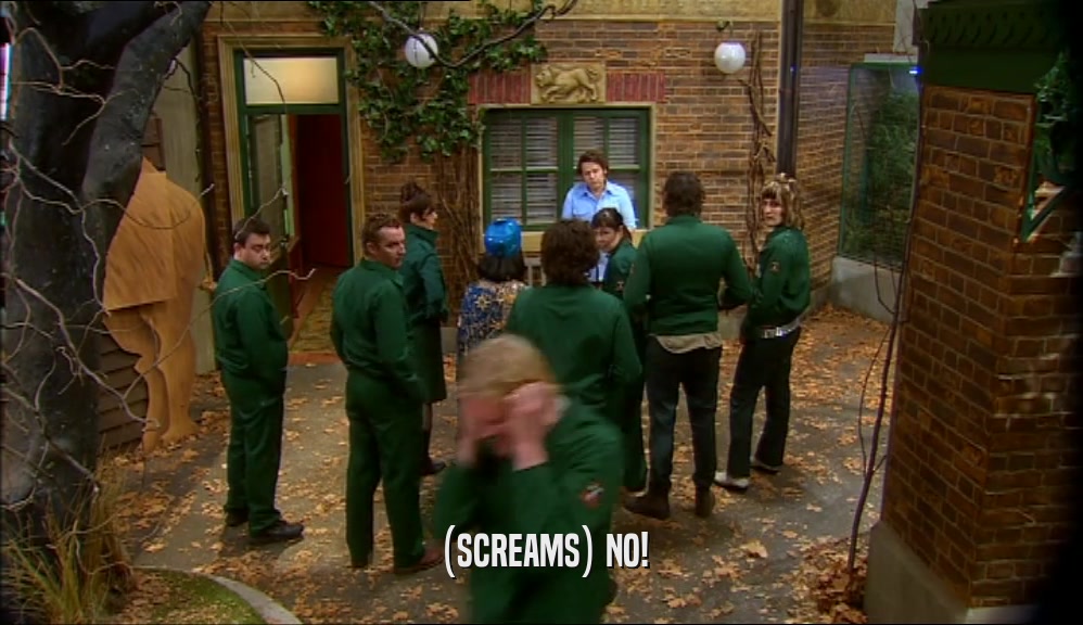 (SCREAMS) NO!  