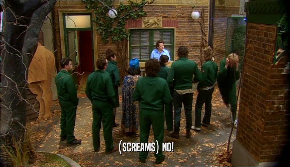 (SCREAMS) NO!  