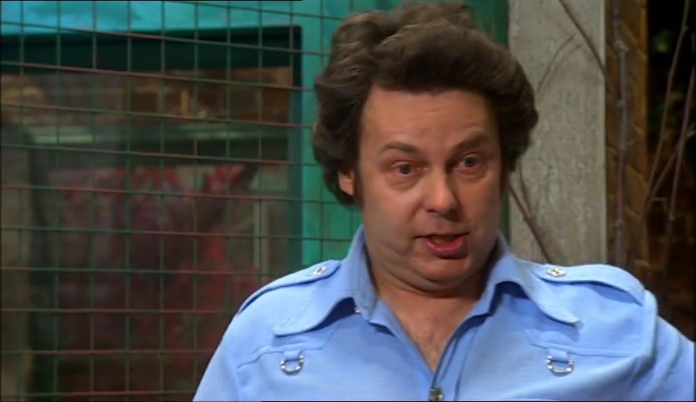 EVERYBODY! # NICEY NICEY ZOO ZOO 