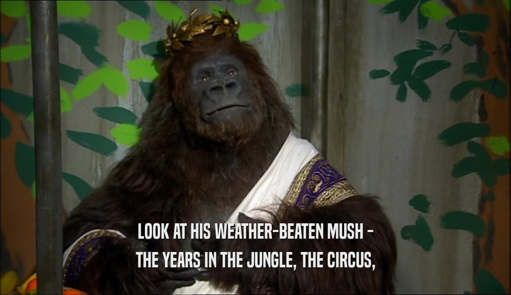 LOOK AT HIS WEATHER-BEATEN MUSH - THE YEARS IN THE JUNGLE, THE CIRCUS, 
