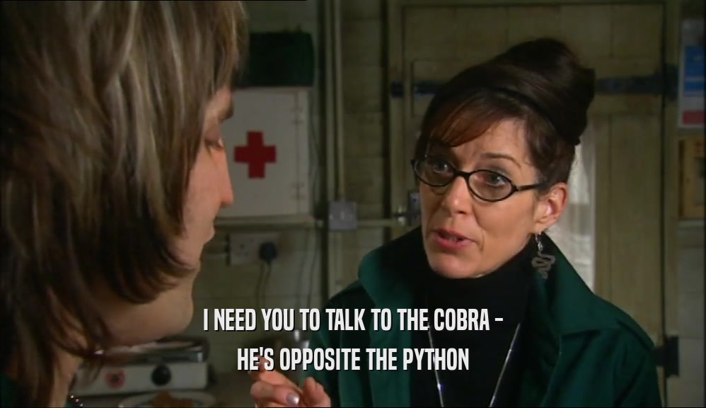 I NEED YOU TO TALK TO THE COBRA - HE'S OPPOSITE THE PYTHON 