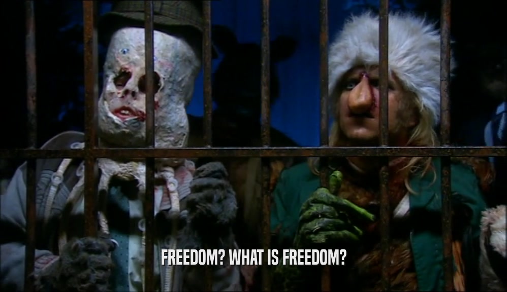 FREEDOM? WHAT IS FREEDOM?
  