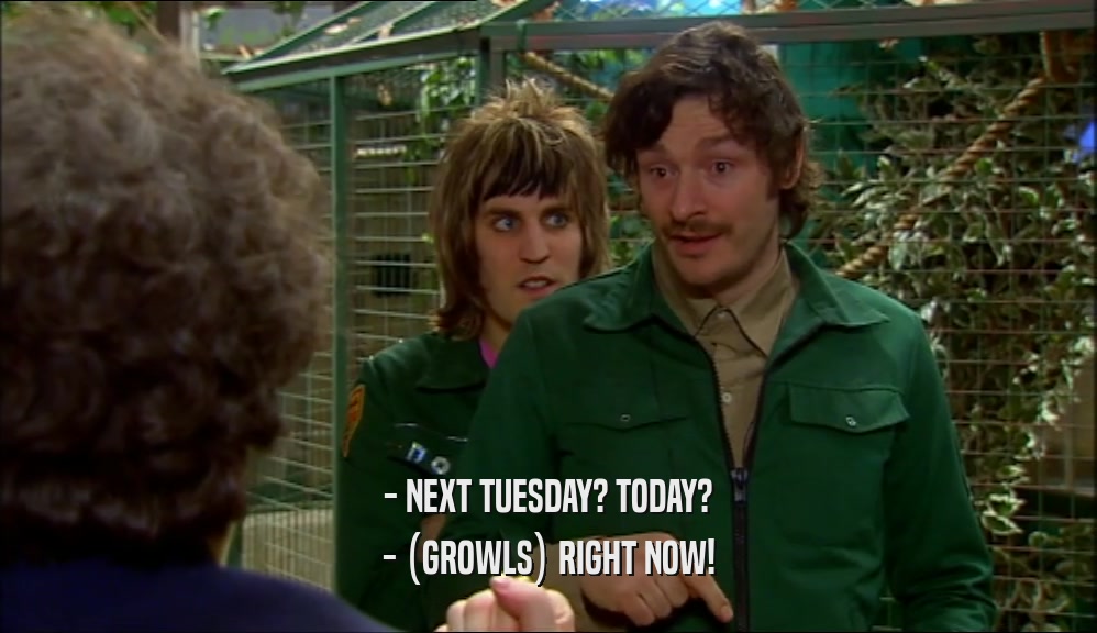 - NEXT TUESDAY? TODAY? - (GROWLS) RIGHT NOW! 