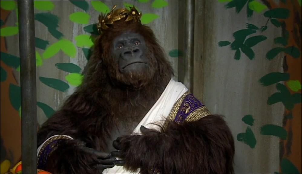 LOOK AT HIS WEATHER-BEATEN MUSH - THE YEARS IN THE JUNGLE, THE CIRCUS, 