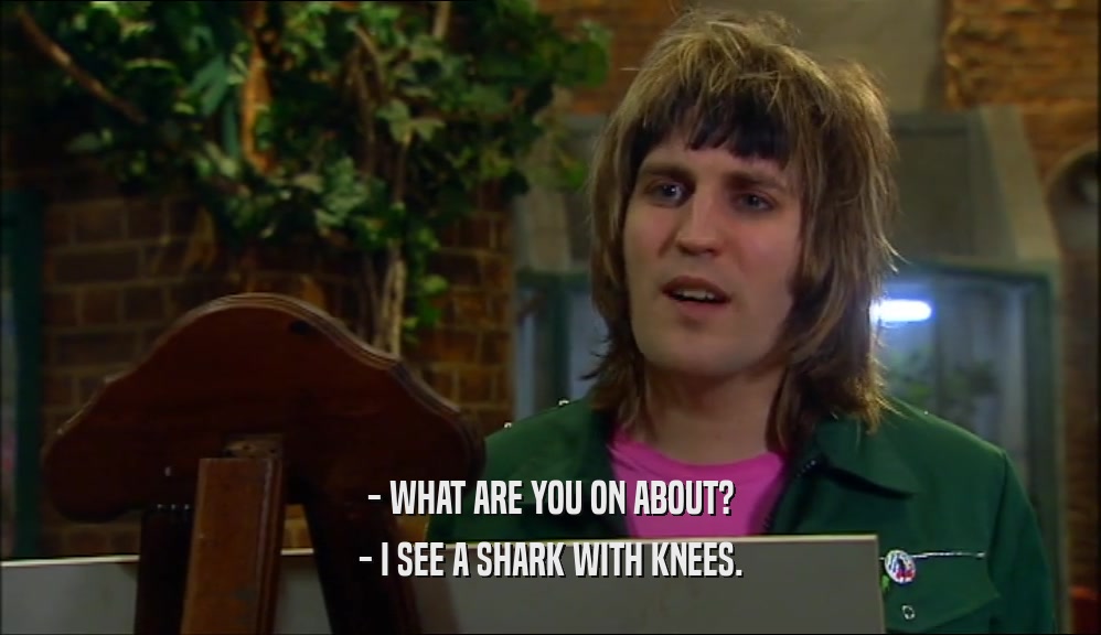 - WHAT ARE YOU ON ABOUT? - I SEE A SHARK WITH KNEES. 