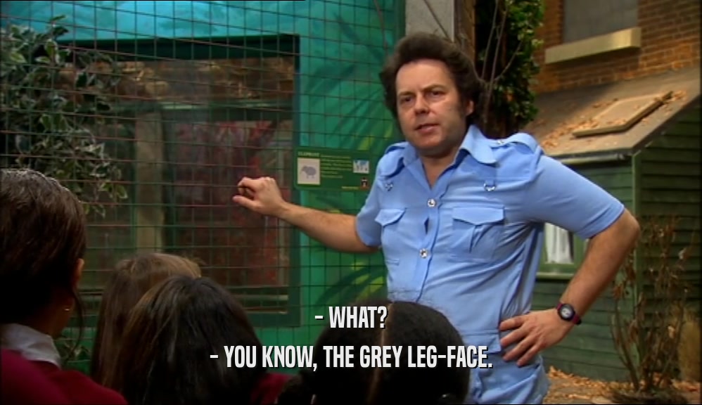 - WHAT? - YOU KNOW, THE GREY LEG-FACE. 