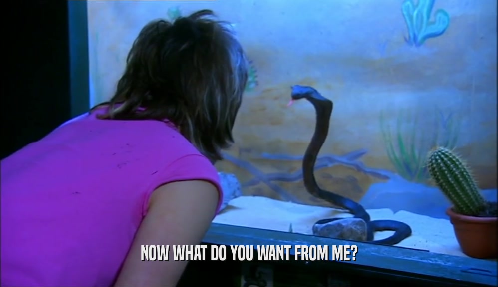 NOW WHAT DO YOU WANT FROM ME?  