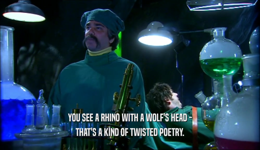 YOU SEE A RHINO WITH A WOLF'S HEAD - THAT'S A KIND OF TWISTED POETRY. 