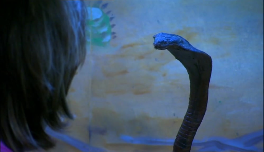 - SNAKE CHARMING. - YES. 