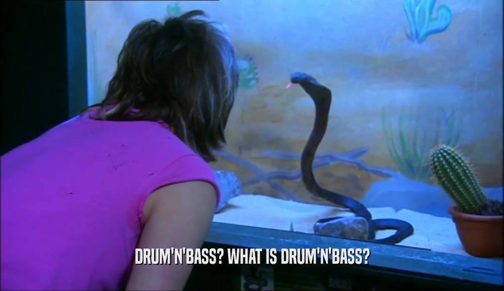 DRUM'N'BASS? WHAT IS DRUM'N'BASS?  