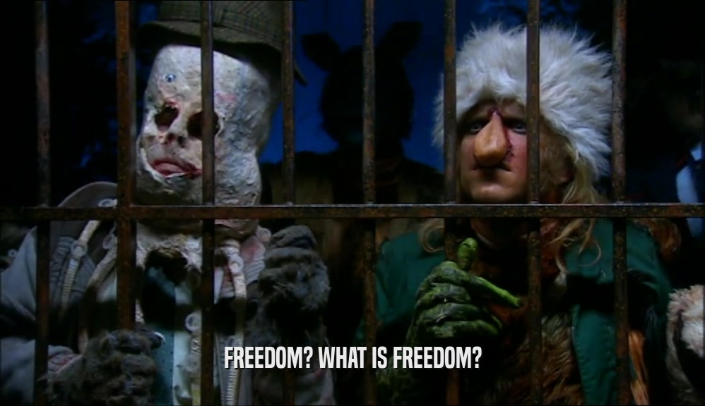 FREEDOM? WHAT IS FREEDOM?  