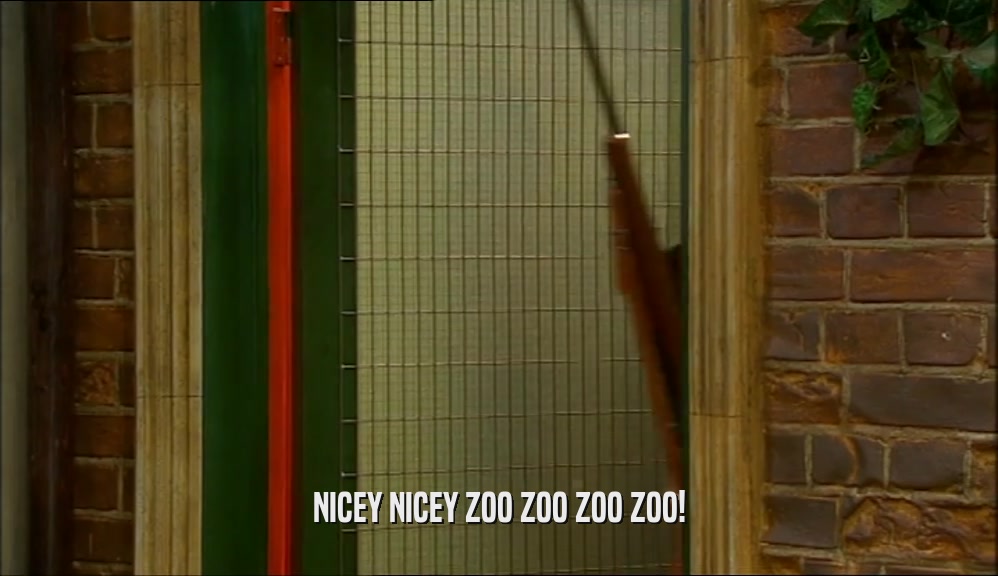 NICEY NICEY ZOO ZOO ZOO ZOO!  