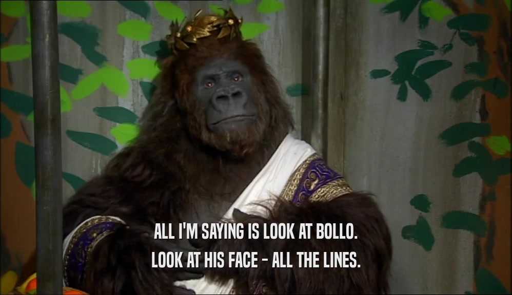 ALL I'M SAYING IS LOOK AT BOLLO. LOOK AT HIS FACE - ALL THE LINES. 