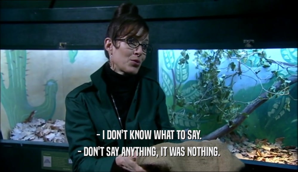 - I DON'T KNOW WHAT TO SAY. - DON'T SAY ANYTHING, IT WAS NOTHING. 