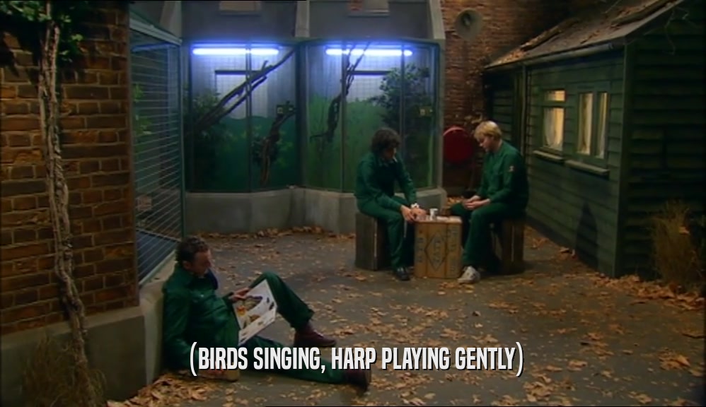 (BIRDS SINGING, HARP PLAYING GENTLY)  
