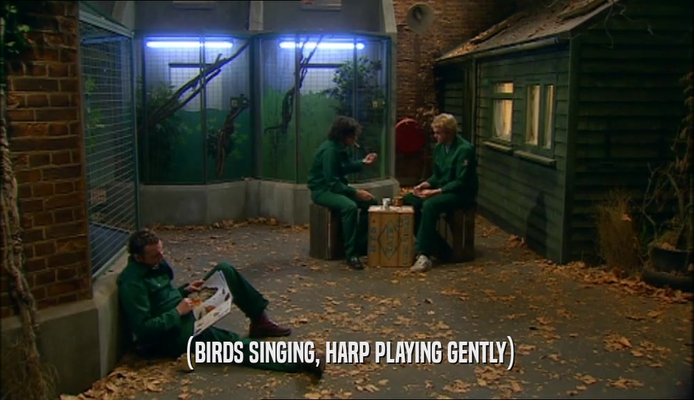 (BIRDS SINGING, HARP PLAYING GENTLY)  