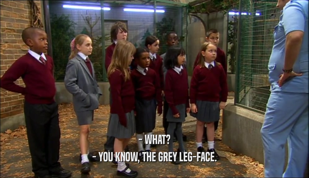 - WHAT? - YOU KNOW, THE GREY LEG-FACE. 